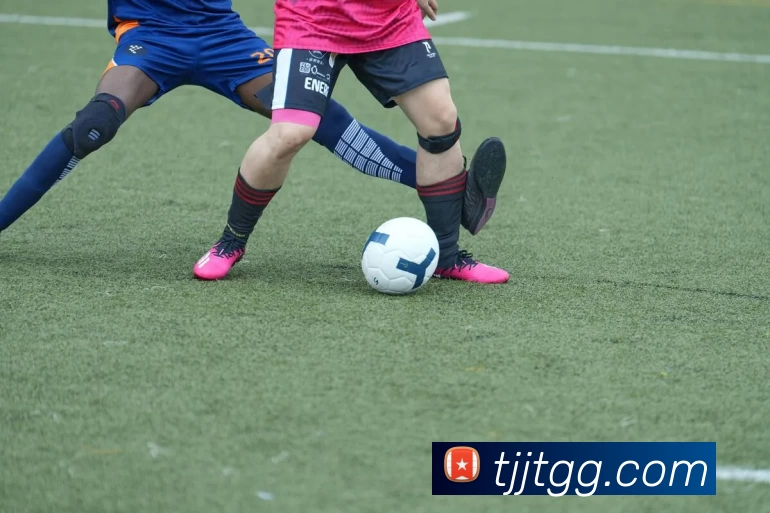 华体会体育发展历程